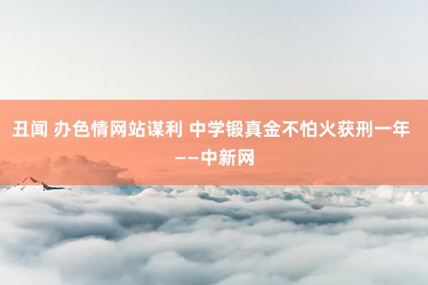 丑闻 办色情网站谋利 中学锻真金不怕火获刑一年 ——中新网