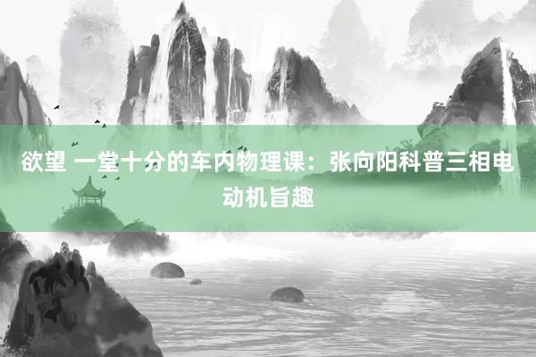 欲望 一堂十分的车内物理课：张向阳科普三相电动机旨趣