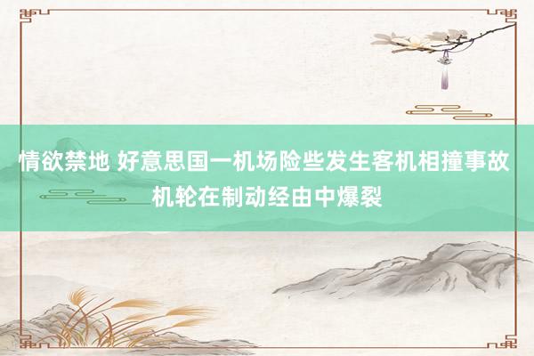 情欲禁地 好意思国一机场险些发生客机相撞事故 机轮在制动经由中爆裂