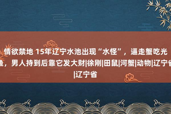 情欲禁地 15年辽宁水池出现“水怪”，逼走蟹吃光鱼，男人持到后靠它发大财|徐刚|田鼠|河蟹|动物|辽宁省