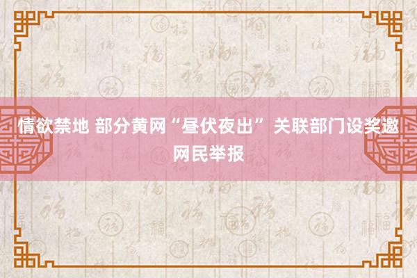 情欲禁地 部分黄网“昼伏夜出” 关联部门设奖邀网民举报