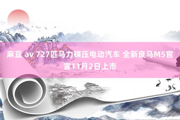 麻豆 av 727匹马力碾压电动汽车 全新良马M5官宣11月2日上市