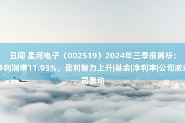 丑闻 星河电子（002519）2024年三季报简析：净利润增11.93%，盈利智力上升|基金|净利率|公司激动