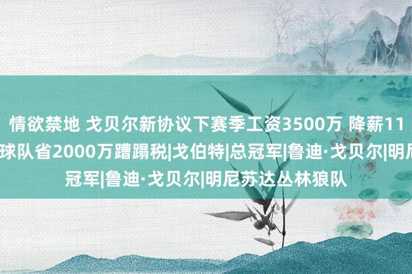 情欲禁地 戈贝尔新协议下赛季工资3500万 降薪1170万&为球队省2000万蹧蹋税|戈伯特|总冠军|鲁迪·戈贝尔|明尼苏达丛林狼队