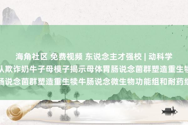 海角社区 免费视频 东说念主才强校 | 动科学院曹志军锻真金不怕火团队欺诈奶牛子母模子揭示母体胃肠说念菌群塑造重生犊牛肠说念微生物功能组和耐药组特征