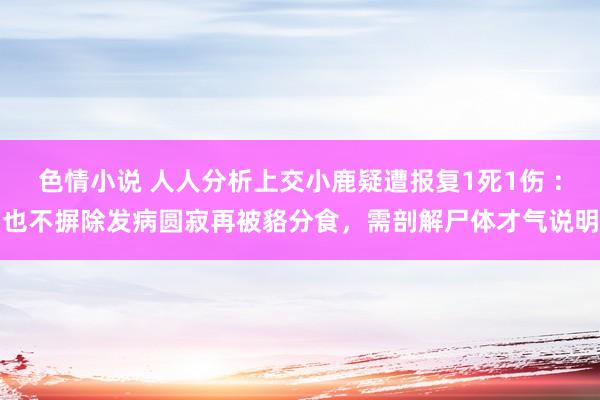 色情小说 人人分析上交小鹿疑遭报复1死1伤 ：也不摒除发病圆寂再被貉分食，需剖解尸体才气说明